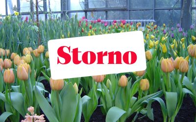 Storno: Tagesausflug nach Frankfurt/Main mit Besuch des Palmengartens am 19.02.2026